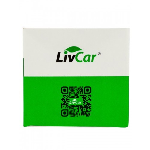 LIVCAR POSITION LAMP P21